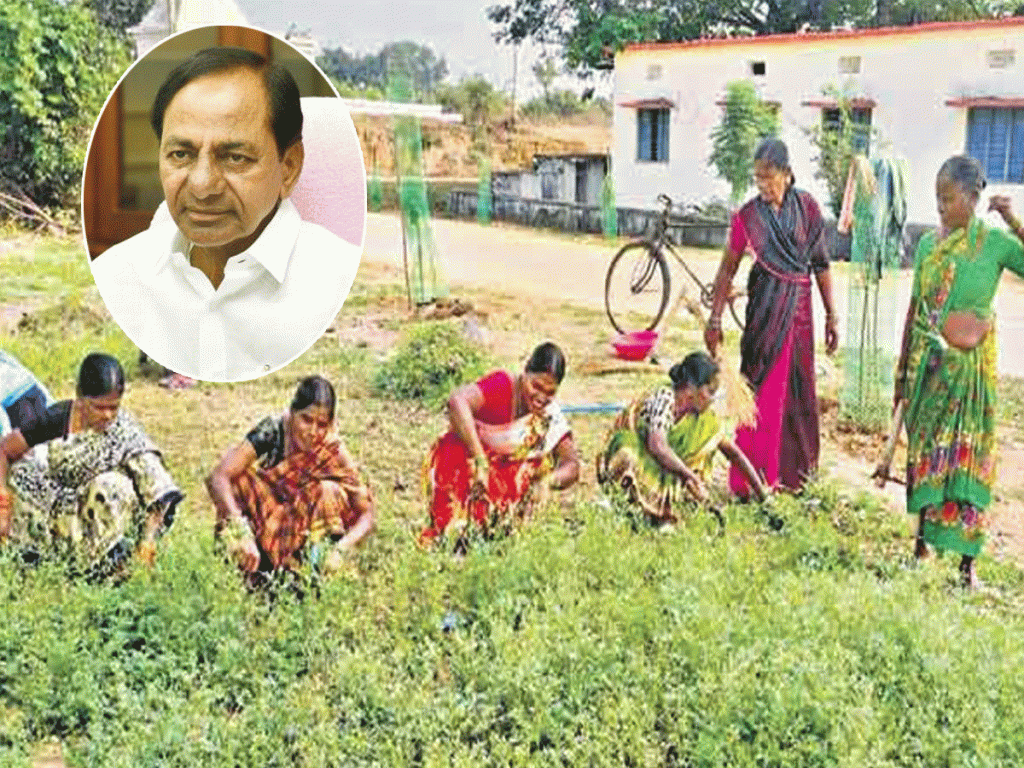 kcr