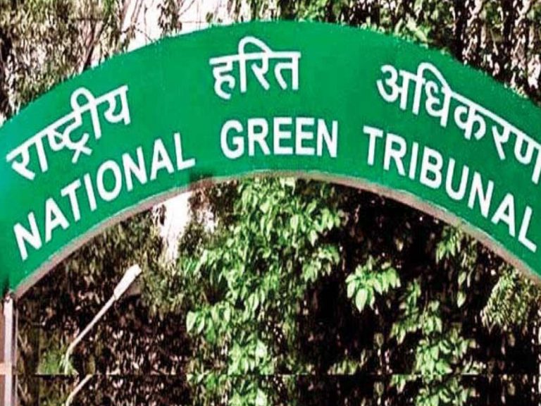 రాయలసీమ ఎత్తిపోతల పథకంపై ఏపీ ప్రభుత్వంపై ఎన్జీటీ ఆగ్రహం