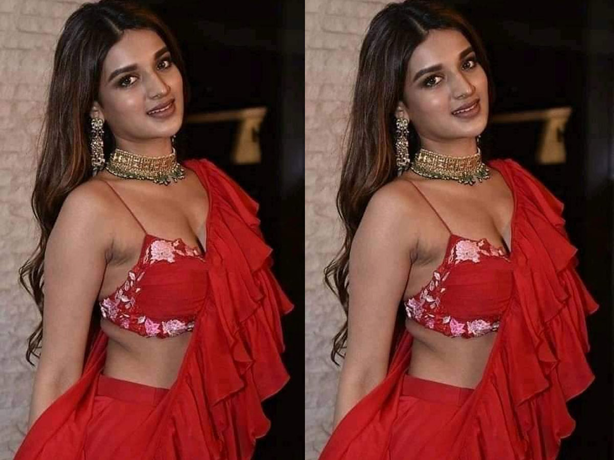 నిధికి ఫిదా అయిన స్టార్ డైరెక్టర్?