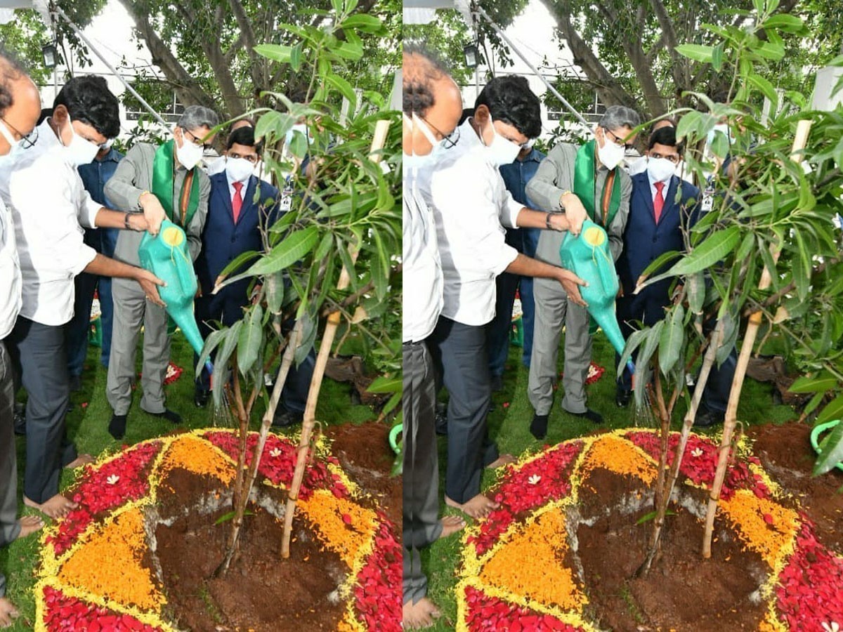 రాజ్‌భవన్‌లో మొక్కను నాటిన సుప్రీంకోర్టు ప్రధాన న్యాయమూర్తి