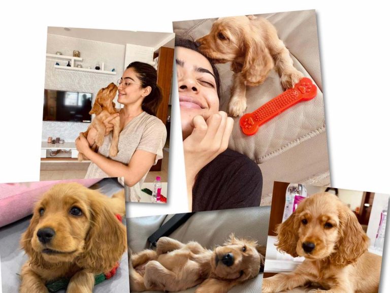 ‘భీష్మ’ బ్యూటీ ఒళ్లో… లిటిల్ బేబీ!