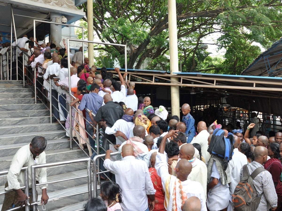 తిరుమలలో పెరిగిన భక్తుల రద్దీ