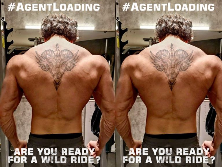 “ఏజెంట్” రెడీ అవుతున్నాడు… మరి మీరు ?