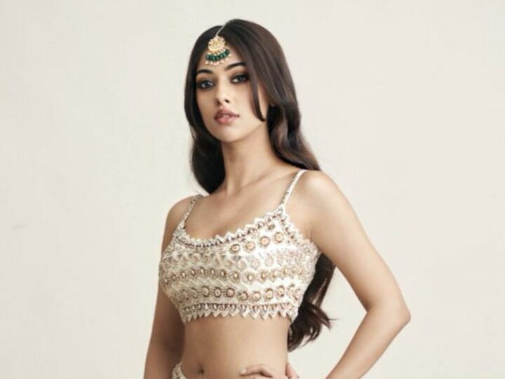 మెరుపుతీగలా మారిన అను ఇమ్మాన్యుయేల్…!!