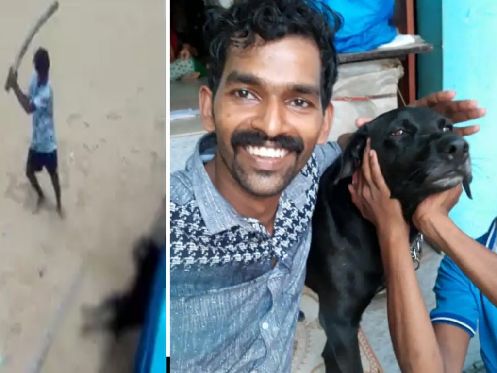 Bollywood Celebrities fires on animal cruelty as 3 Kerala youths beat dog to death