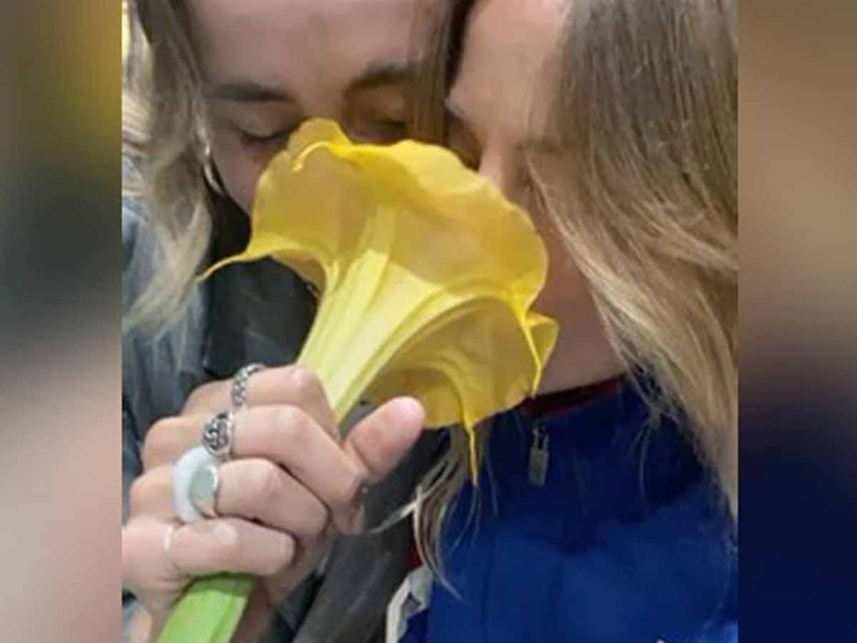 పువ్వు అందంగా ఉంద‌ని వాస‌న చూసి…