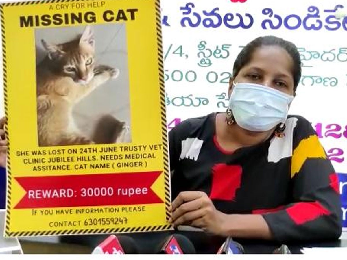 పిల్లి కోసం తపన.. ఆచూకీ చెబితే రూ.30 వేల రివార్డు..