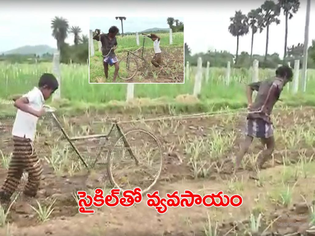 Cycle Agriculture