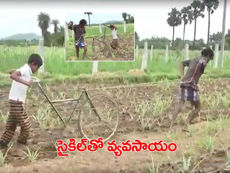 సైకిల్‌తోనే వ్యవసాయ పనులు..