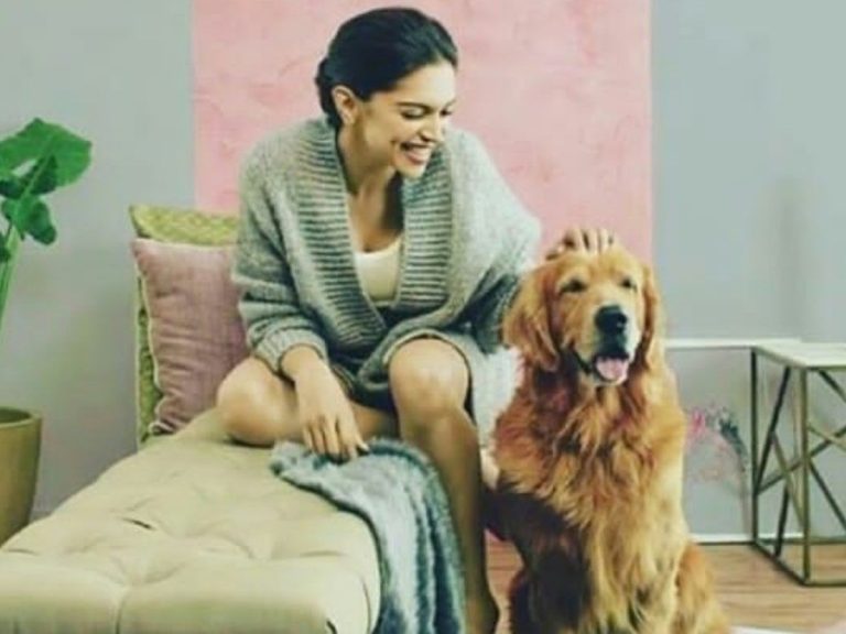 పెట్ యానిమల్స్ మీద దీపికా పదుకొణే పెట్టుబడులు!