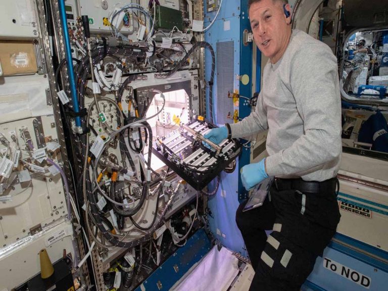 నాసా ఛాలెంజ్‌…అంత‌రిక్షంలో మిర్చిపంట‌…