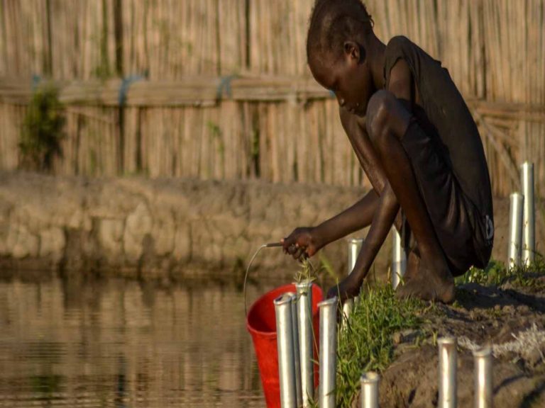 క‌రోనాను మంచిన ఆక‌లి చావులు…ప్ర‌తి నిమిషానికి…