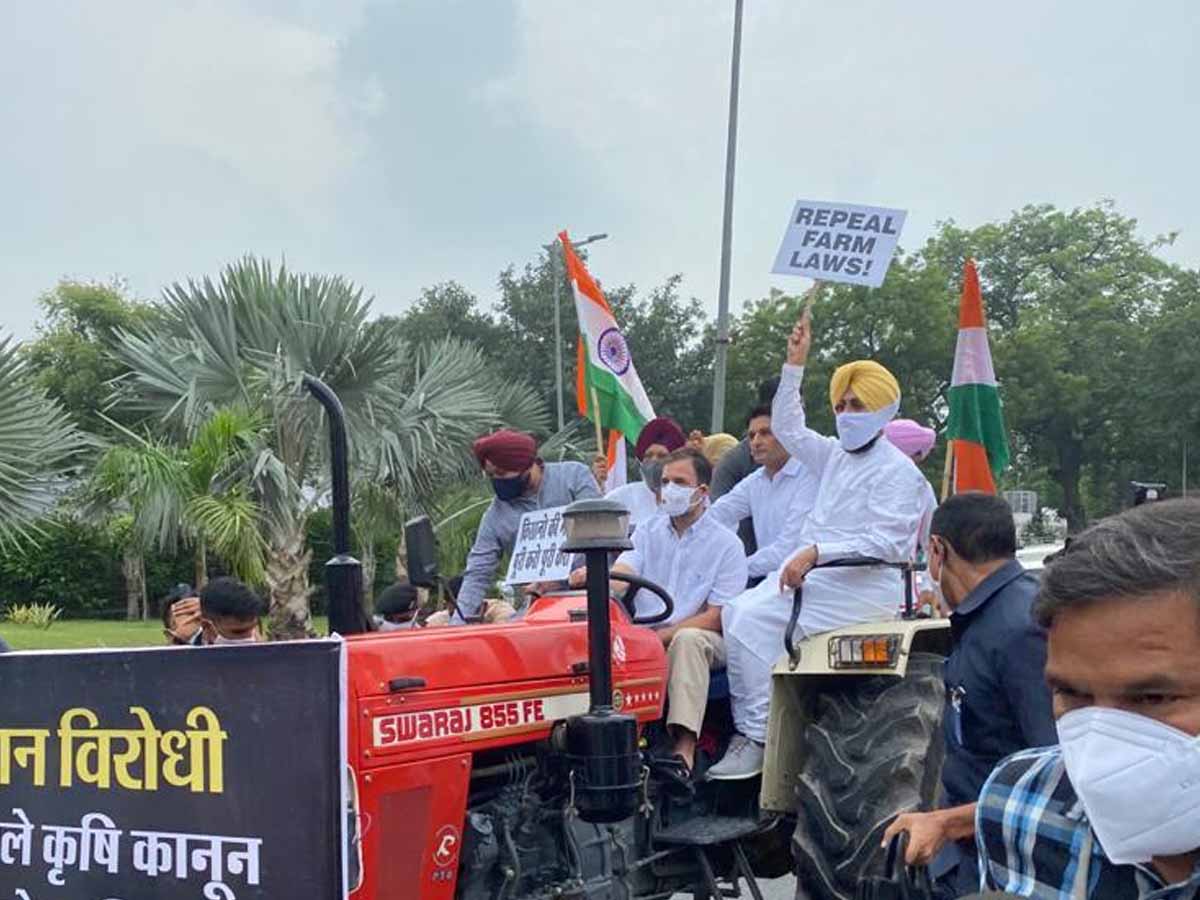 ట్రాక్ట‌ర్ డ్రైవ‌ర్‌గా మారిన రాహుల్ గాంధీ…