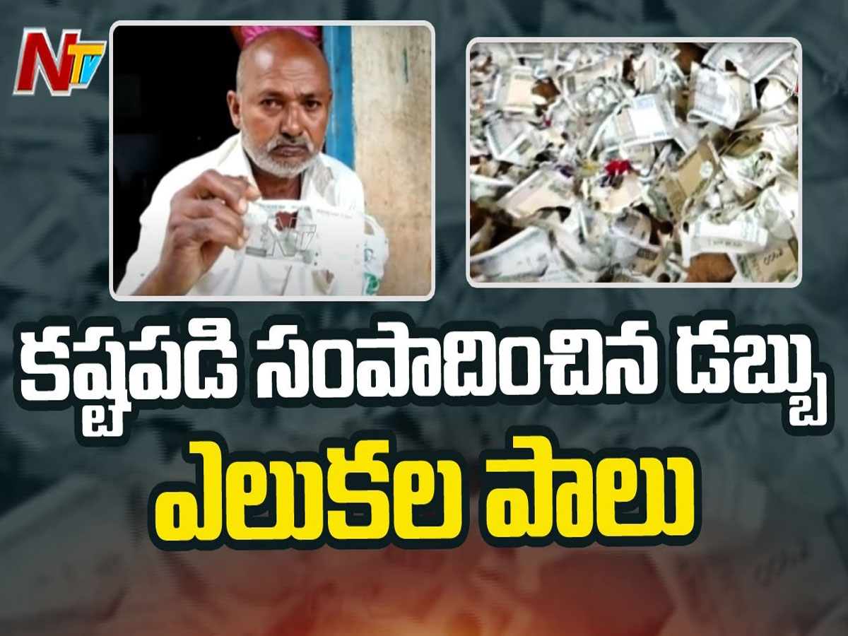 కష్టపడి సంపాదించిన డబ్బు ఎలుకల పాలు