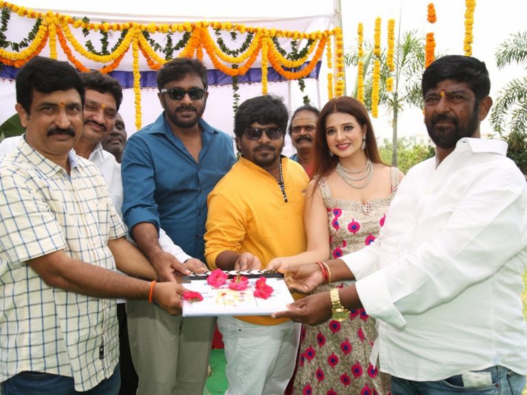 సలోని హీరోయిన్ గా కొత్త సినిమా షురూ