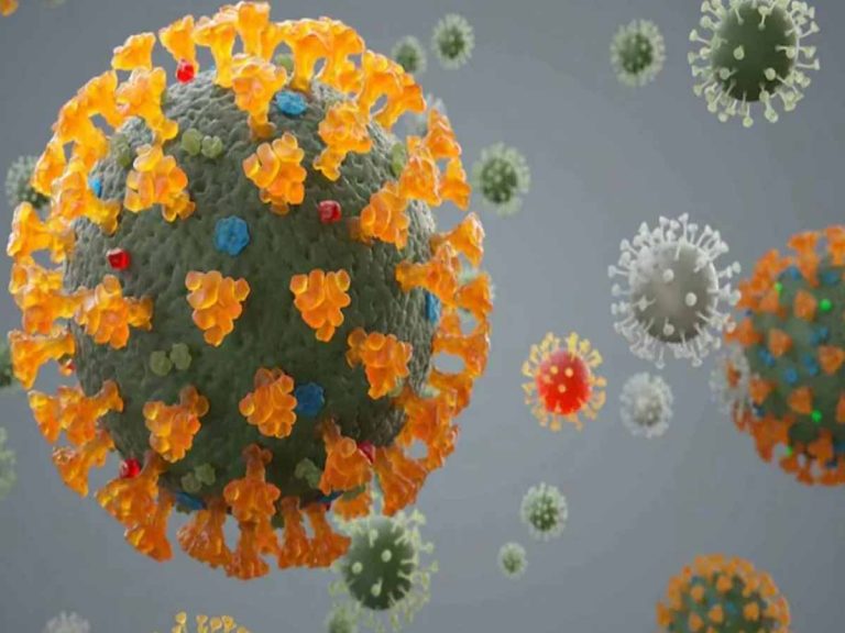 ఒకే మ‌నిషిలో రెండు వేరియంట్లు…