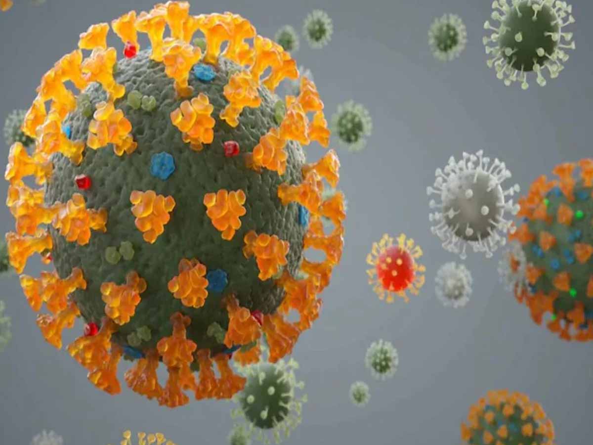 ఒకే మ‌నిషిలో రెండు వేరియంట్లు…