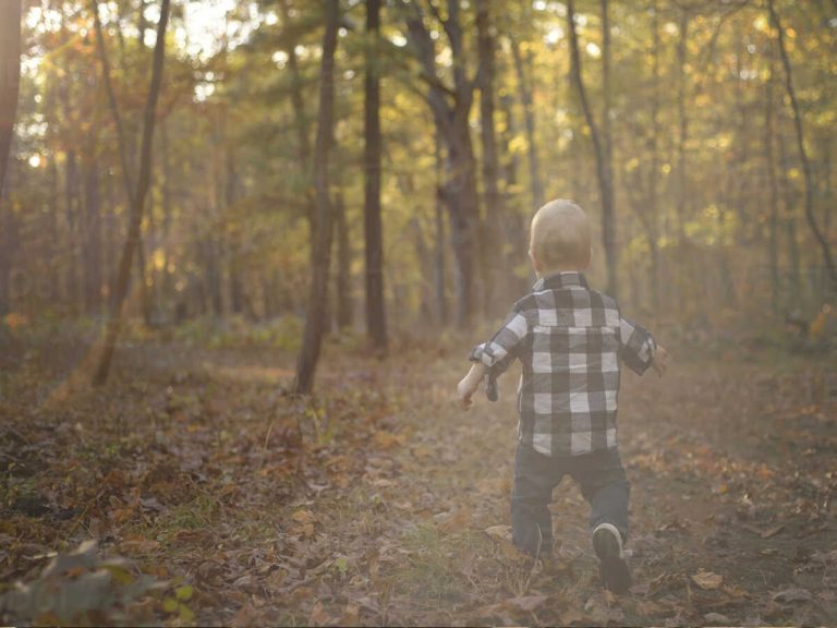 అడవుల్లోకి వెళ్లిన మూడేళ్ల  బాలుడు.. డ్రోన్ తో వెతికిన ఫలితం శూన్యం