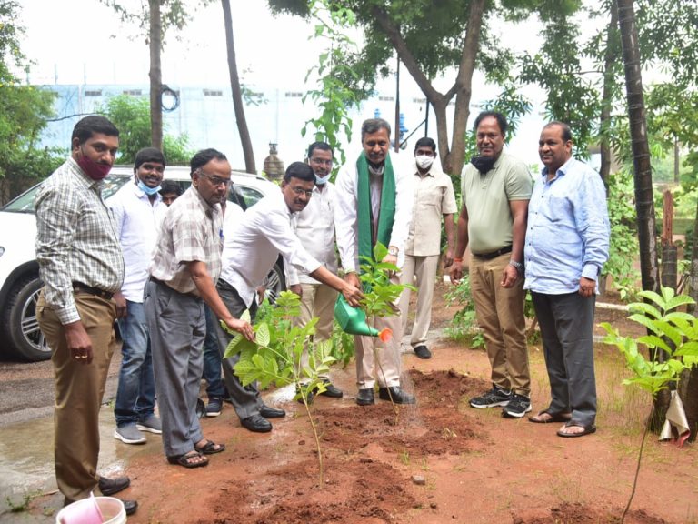 గ్రీన్ఇండియా చాలెంజ్ : మొక్కలు నాటిన ఎమ్మెల్సీ పల్లా