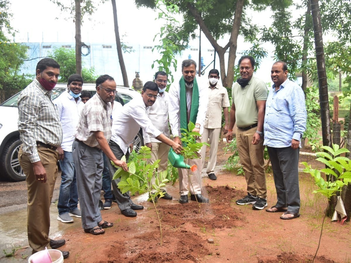 గ్రీన్ఇండియా చాలెంజ్ : మొక్కలు నాటిన ఎమ్మెల్సీ పల్లా