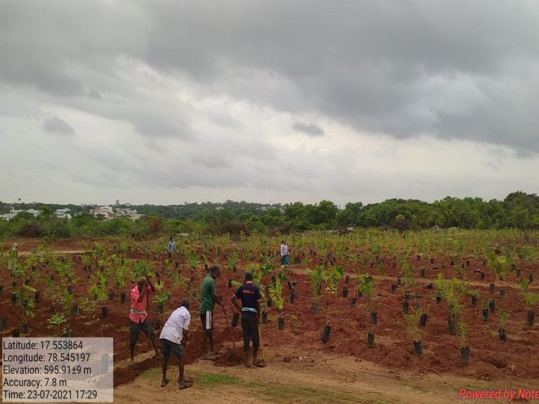 కేటీఆర్ బర్త్ డే : ముక్కోటి వృక్షార్చనకు ఏర్పాట్లు పూర్తి