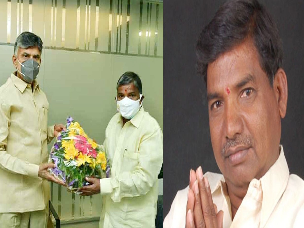 తెలంగాణ టీడీపీ అధ్యక్షుడిగా బక్కని నర్సింహులు