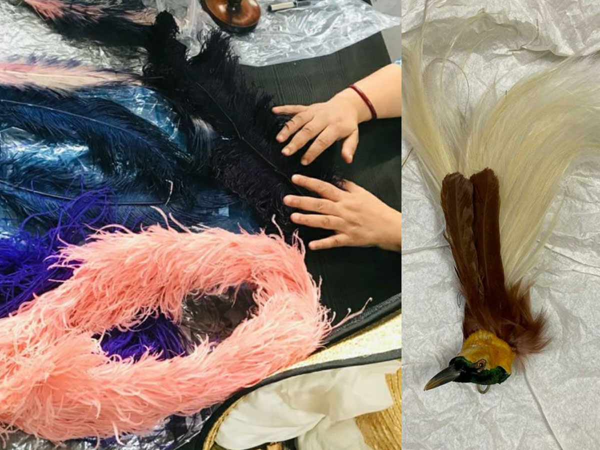 భారీగా ఈము కోడి, నిప్పు కోడి రెక్కలు స్వాధీనం