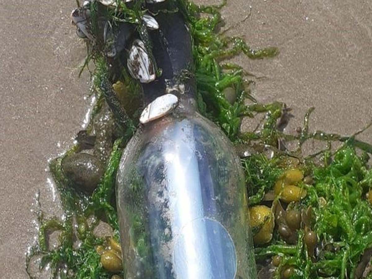 స‌ముద్రంలో 4800 కిమీ ప్ర‌యాణం చేసిన వైన్ బాటిల్… అందులో ఏముందంటే…