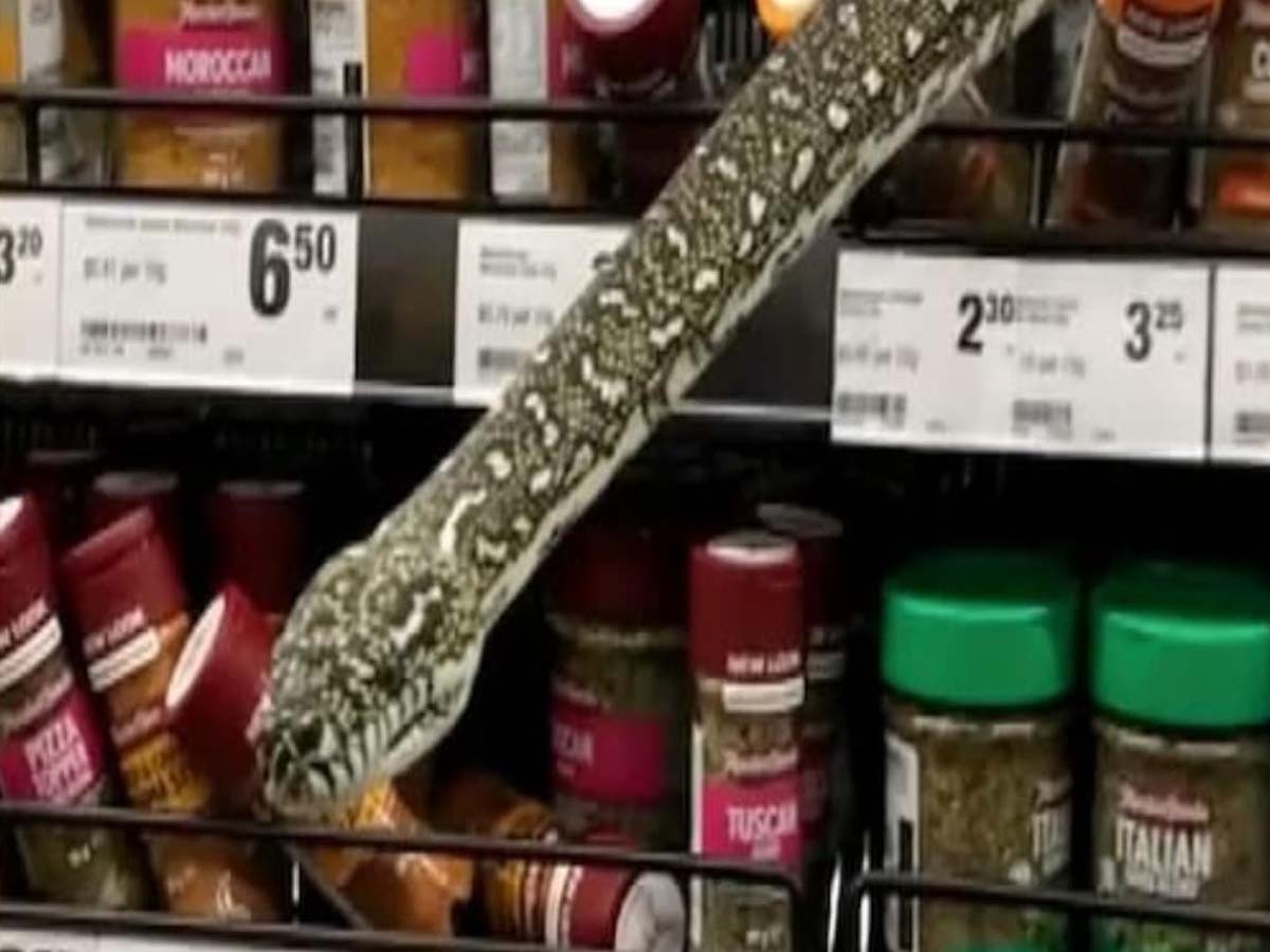 వైర‌ల్‌: సూపర్ మార్కెట్‌లో కొత్త క‌స్ట‌మ‌ర్‌…పరుగులు తీసిన జనం…