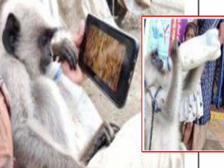 విచిత్రం:  బుల్లెట్టు బండి పాట పెడితేనే … ఆ కొండ‌ముచ్చు…