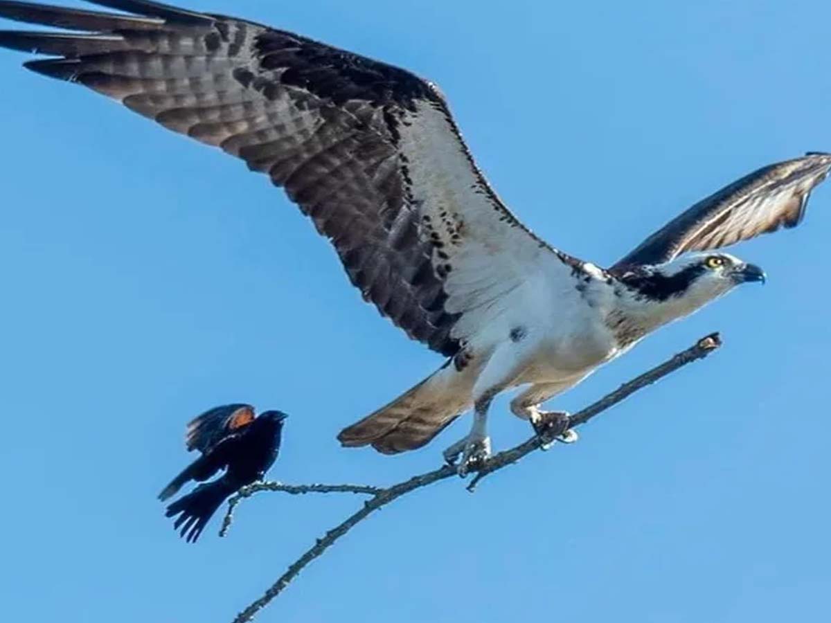 ఈ ఫొటోకు క్యాప్ష‌న్ చెప్ప‌గ‌ల‌రా…!