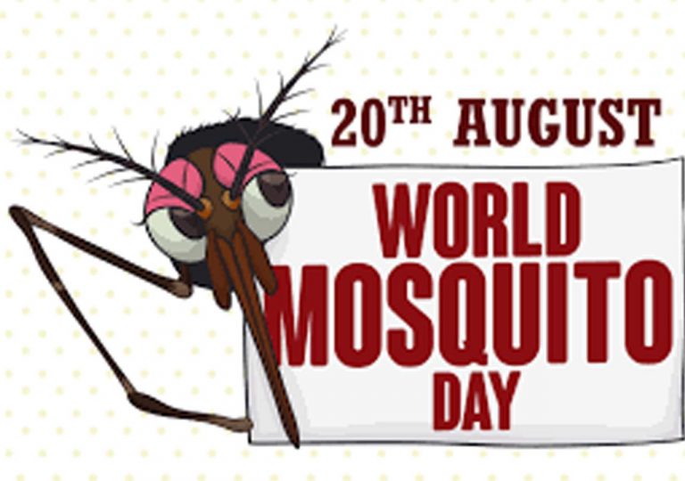 ప్ర‌పంచ దోమ‌ల దినోత్స‌వం ఎందుకు నిర్వ‌హిస్తారో తెలుసా?