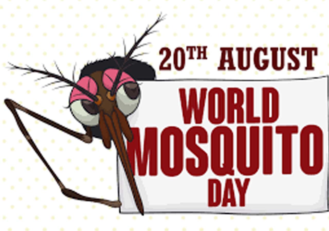 ప్ర‌పంచ దోమ‌ల దినోత్స‌వం ఎందుకు నిర్వ‌హిస్తారో తెలుసా?