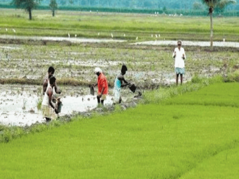రైతు రుణ‌మాఫీ.. రెండో రోజు 38 వేల మందికి ల‌బ్ధి