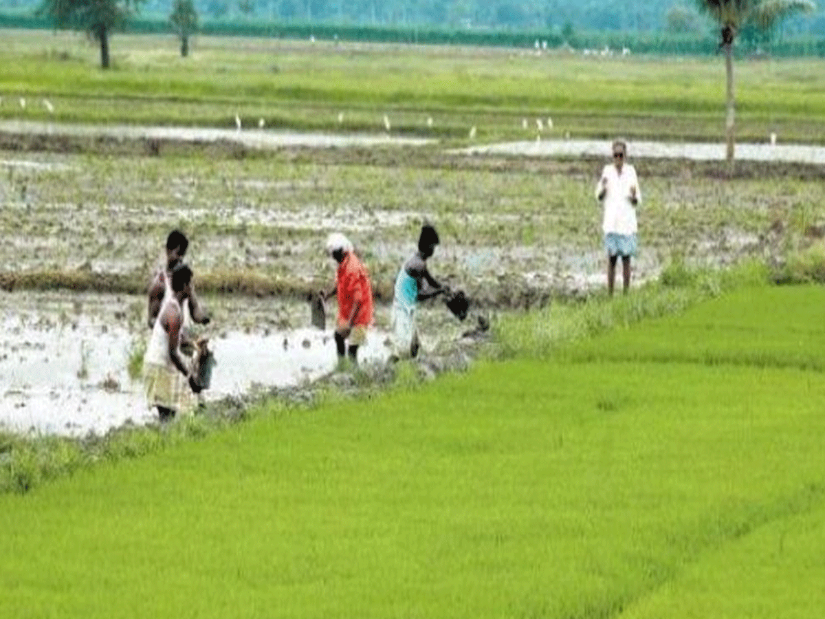 రైతు రుణ‌మాఫీ.. రెండో రోజు 38 వేల మందికి ల‌బ్ధి