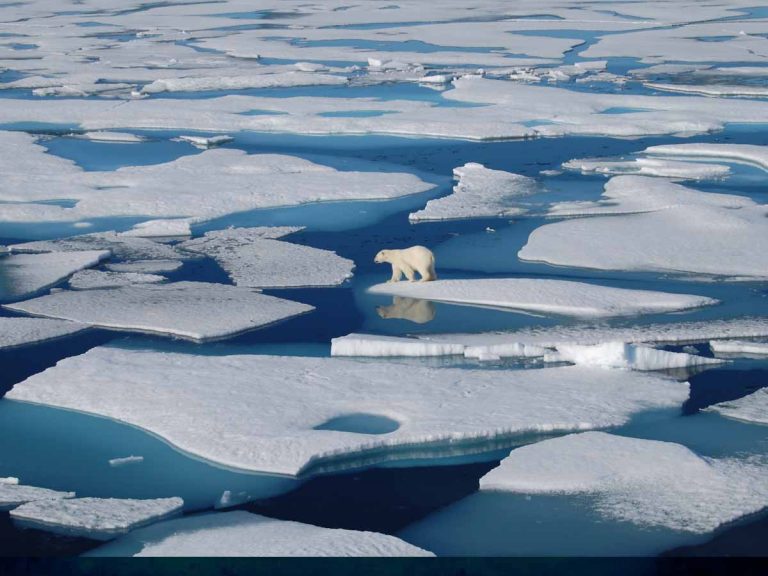 భ‌య‌పెడుతున్న గ్రీన్ ల్యాండ్‌… ఆ మంచు మొత్తం కరిగితే…
