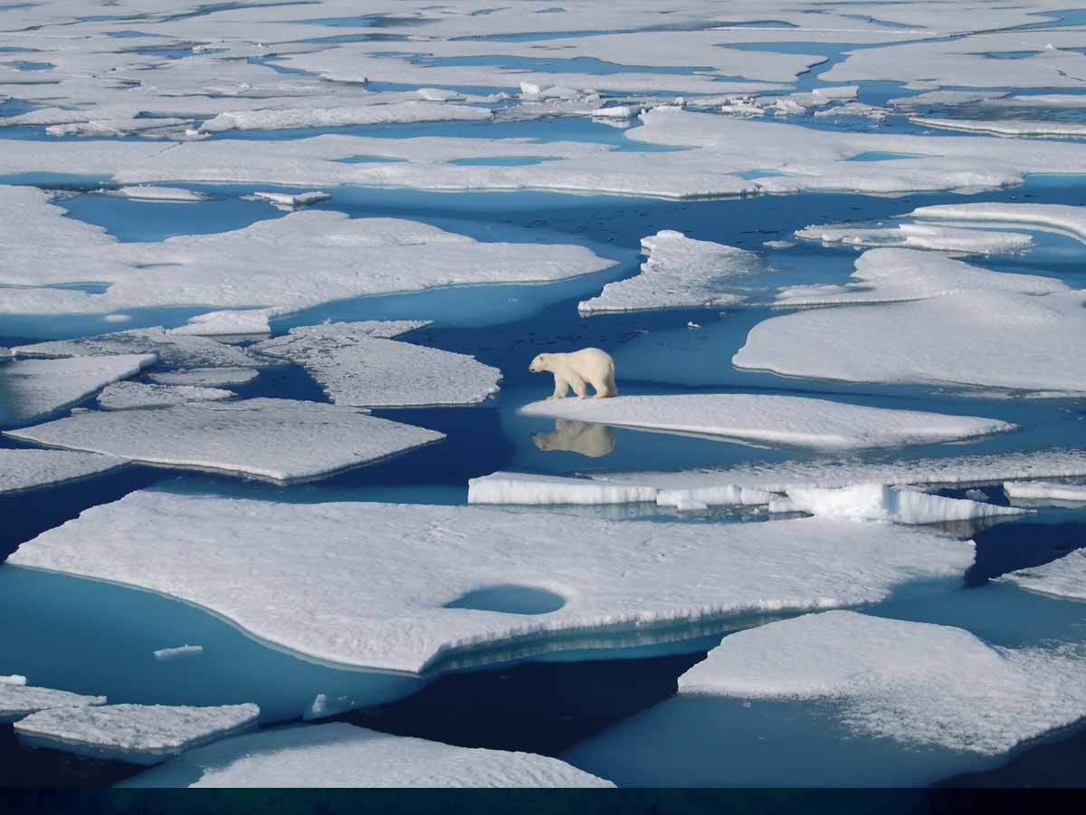 భ‌య‌పెడుతున్న గ్రీన్ ల్యాండ్‌… ఆ మంచు మొత్తం కరిగితే…