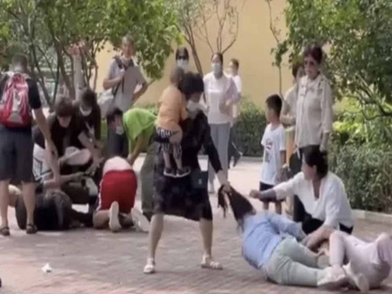 జూలో దారుణం:  జుట్టు పట్టుకొని కొట్టుకున్న పర్యాటకులు…ఆసక్తిగా గమనించిన జంతువులు…