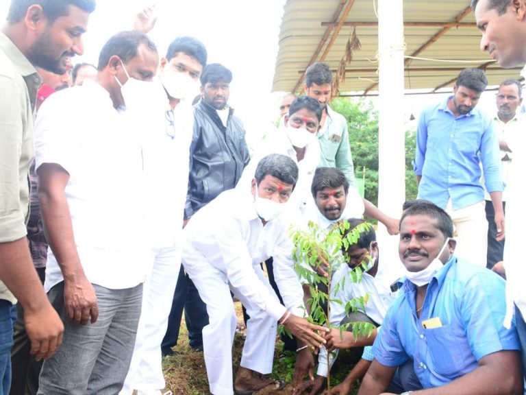 గ్రీన్ ఇండియా ఛాలెంజ్ : మొక్కలు నాటిన ఎమ్మెల్సీ శేరి సుభాష్ రెడ్డి