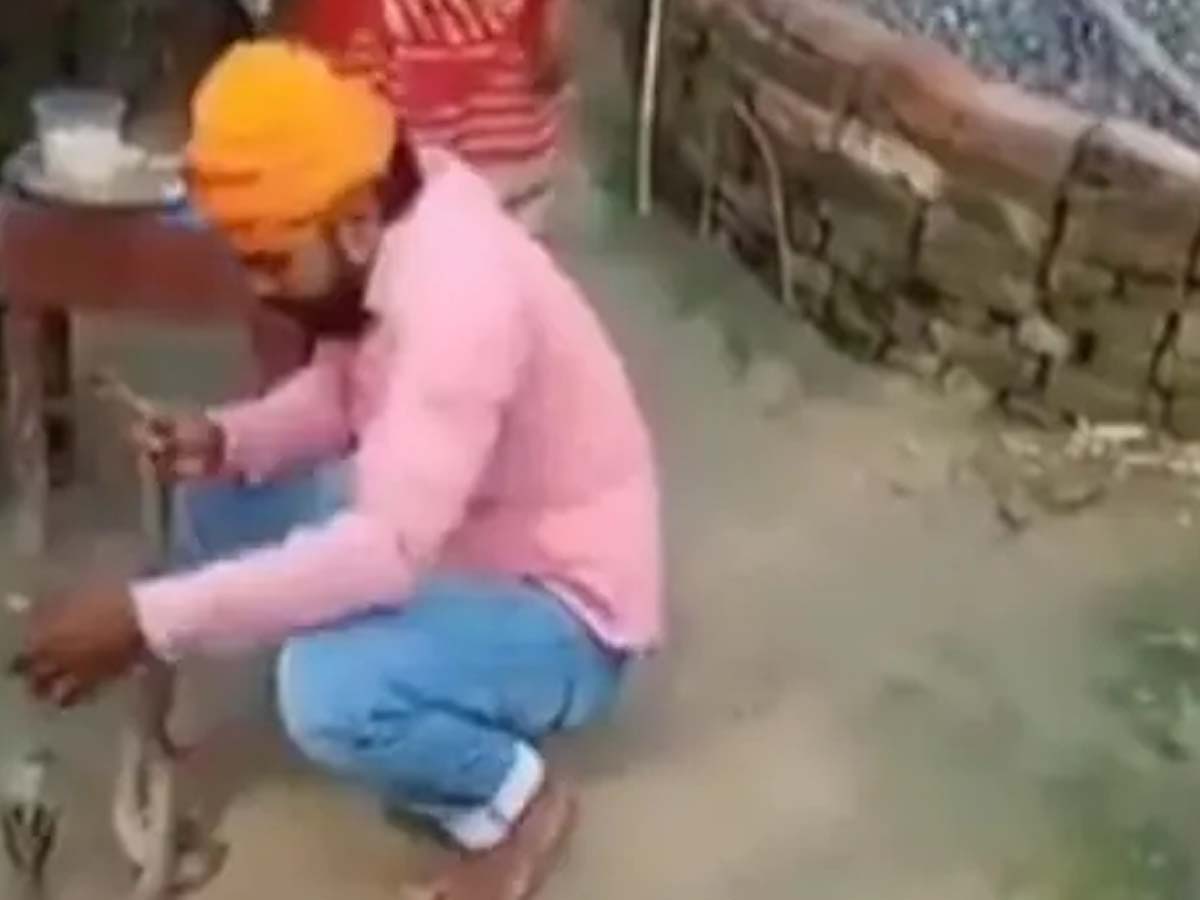 దారుణం:  అందరూ మెచ్చుకోవాలని పాములకు రాఖీ కట్టాడు… చివరకు…