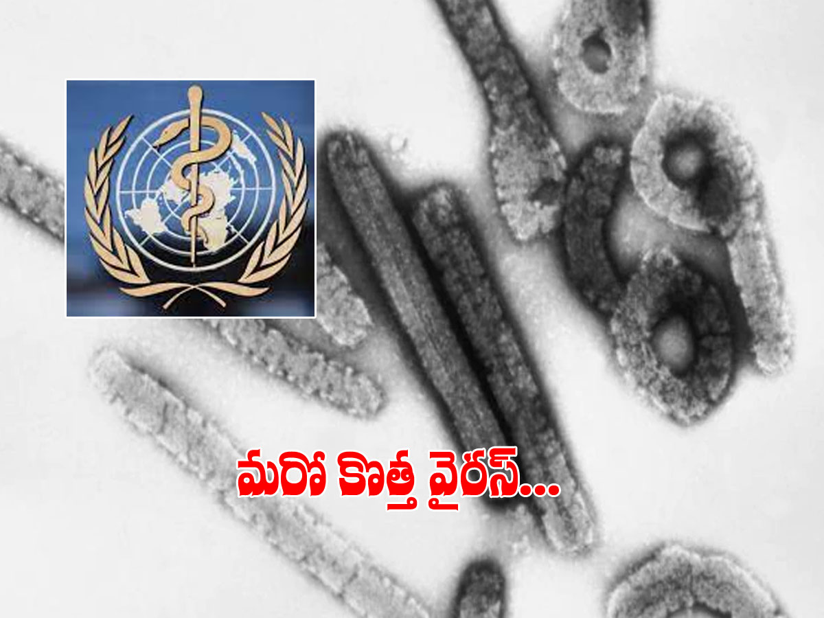 భయపెడుతోన్న మరో కొత్త వైరస్‌..! డెత్‌ రేట్‌ 88 శాతం..!