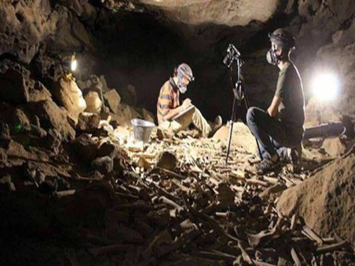 ఆ గుహ మొత్తం ఎముక‌లే…ప‌రిశోధించ‌డానికి వెళ్తే…