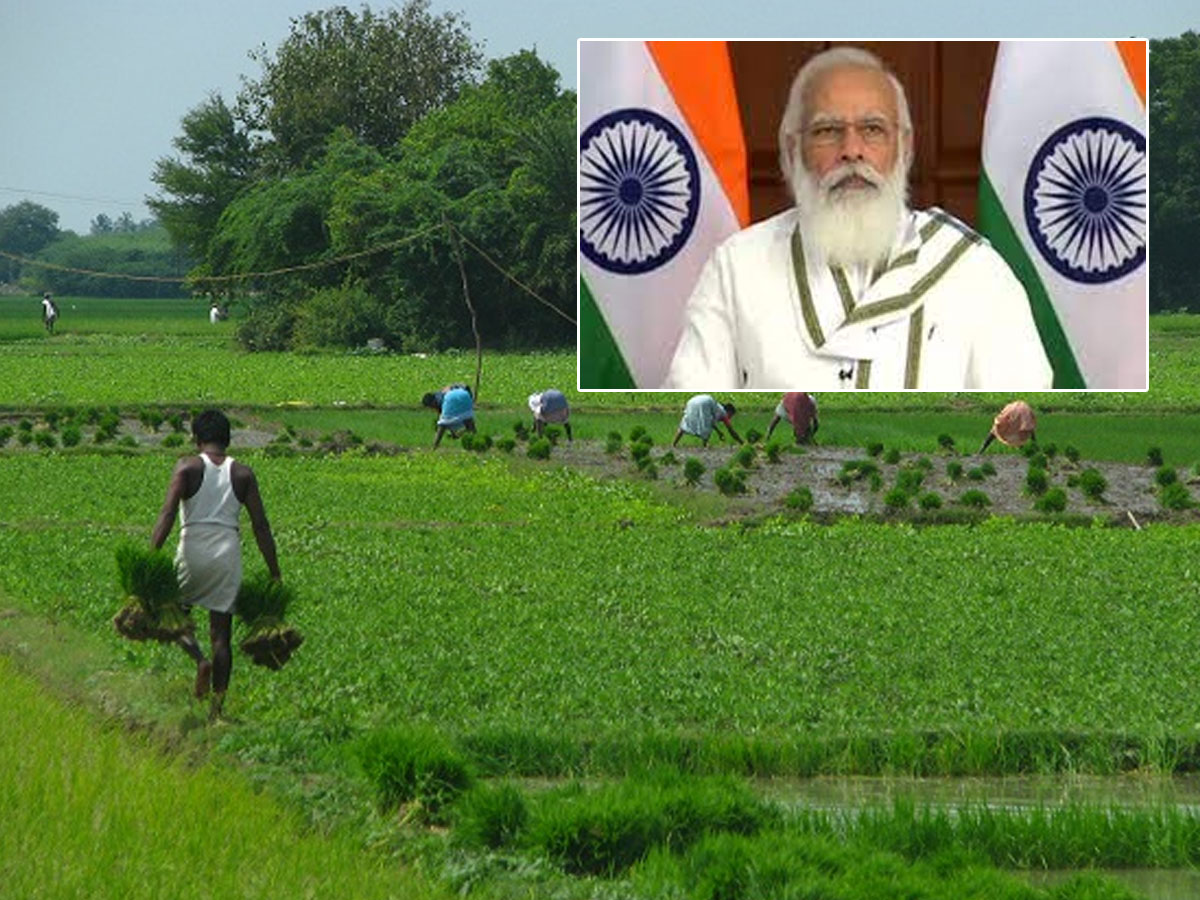 PM-KISAN : రైతులకు కేంద్రం గుడ్ న్యూస్.. ఇక నుంచి ఎకరాకు రూ.8వేలు
