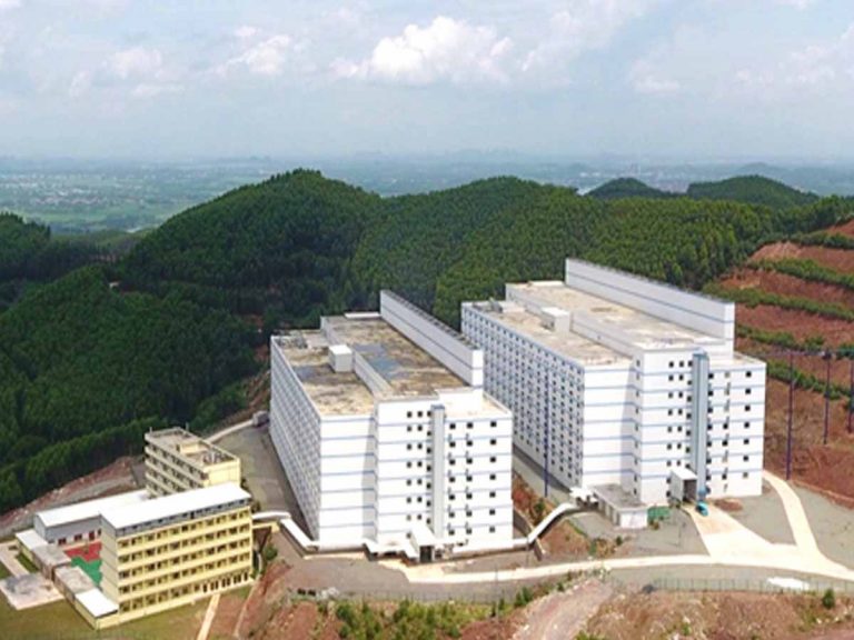 ఆహారం కోసం చైనా అగ‌చాట్లు…అధునాతన భవనాల్లో పందుల పెంపకం…