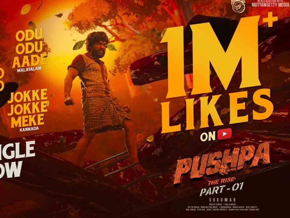 “పుష్ప”రాజ్ ఆల్ టైం రికార్డు