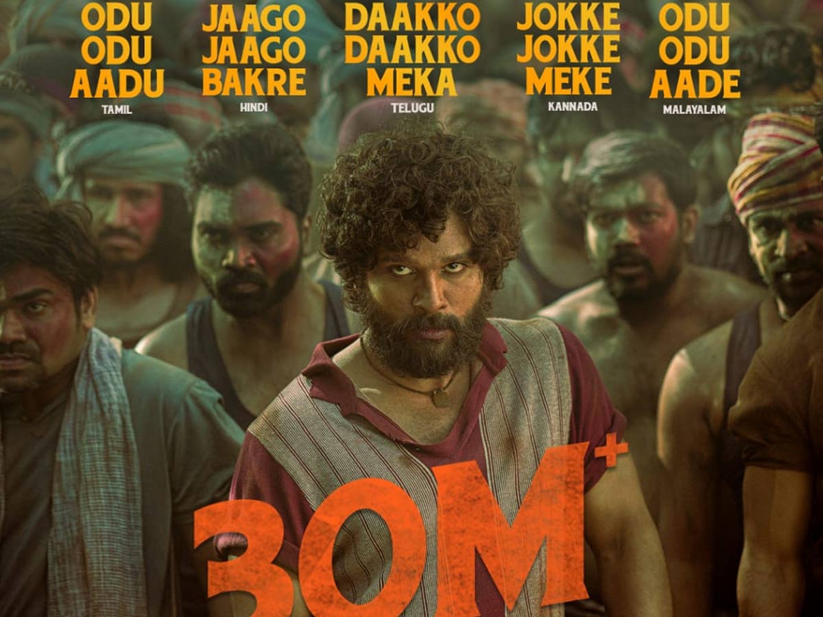 తగ్గేదే లే… దుమ్ము దులుపుతున్న “దాక్కో దాక్కో మేక” సాంగ్