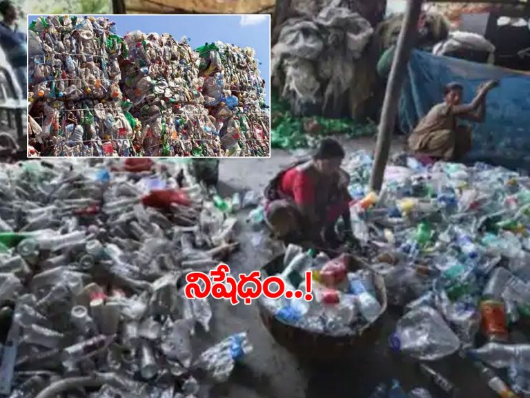 సింగిల్‌ యూజ్‌ ప్లాస్టిక్‌పై కేంద్రం కీలక నిర్ణయం
