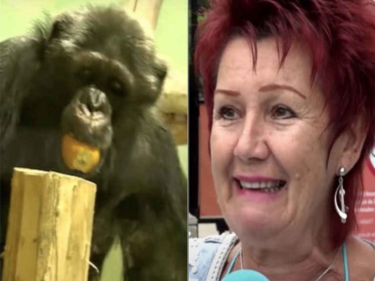 ఆ జంతువుతో మహిళ ప్రేమాయణం… విల‌న్‌గా మారిన జూ సిబ్బంది…