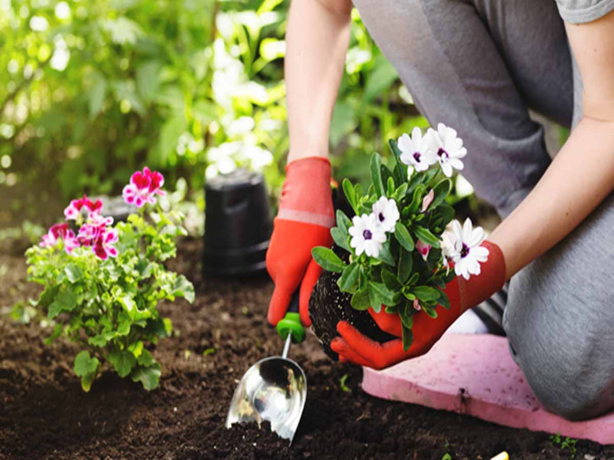 అలాంటి వ్య‌క్తులే తోట‌మాలి ఉద్యోగానికి అర్హులు… అదిరిపోయే రిప్లై ఇచ్చిన మ‌హిళ‌…