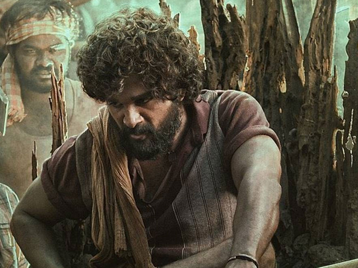 బన్నీకి ‘పుష్ప’ జాతీయ అవార్డు తెస్తుందా!?